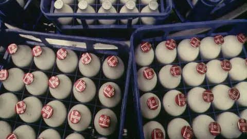 Milk bottles in crates