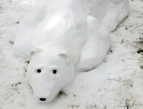 Mark Wright Snow polar bear