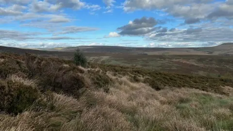 Tarras Valley Nature Reserve