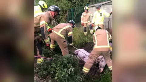 Essex Fire and Rescue Horse being rescued from ditch