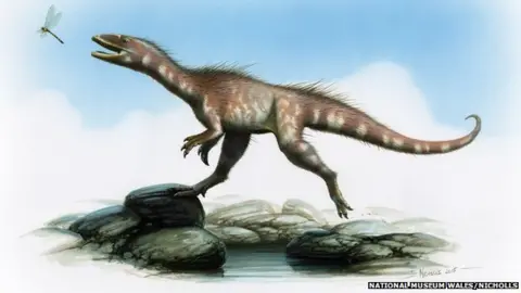 National museum wales/Nicholls Artist's reconstruction of a theropod dinosaur based on fossils found in south Wales