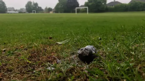 Dog mess in a park