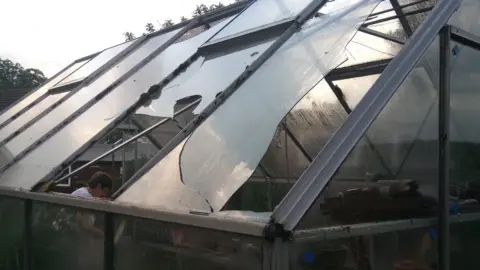 Supplied Greenhouse damage