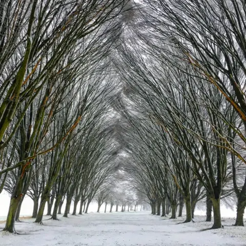 Tony Campbell The Avenue Radley College in snow