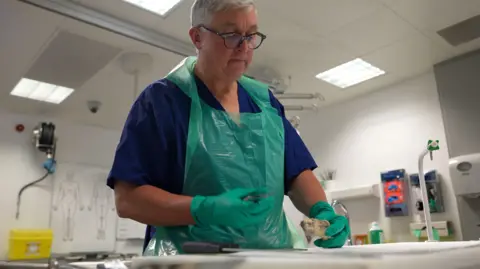 A man with white hair and glasses wearing blue medical smocks and a green plastic bib and gloves inspects a piece of bone