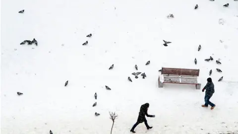 AFP Pedestrians pass pigeons along a snow-covered street in Pristina