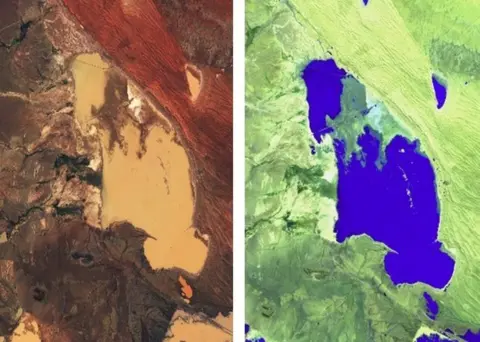 BLOODHOUND SSC Hakskeen Pan