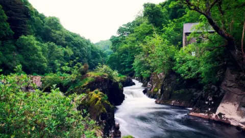 Clayton Greenman Cenarth Falls in Pembrokeshire