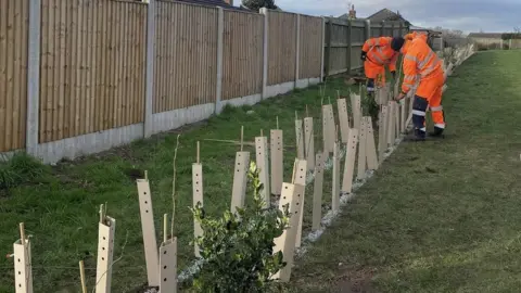 Newark and Sherwood District Council  Trees