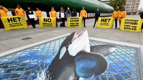 Reuters Activists protest about "whale jails" in eastern Russia