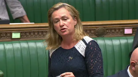 Houses of Parliament Liz Saville Roberts