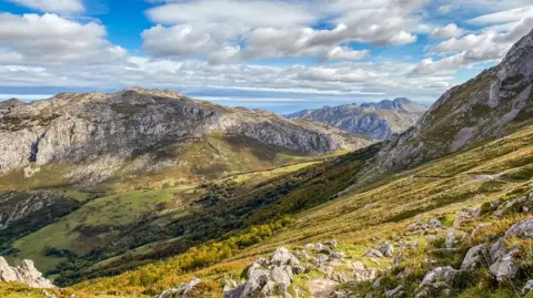 Getty Images Green mountains in Spain. The foliage is a mix of yellow and olive green. It is sunny and slightly cloudy