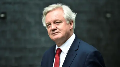 Reuters David Davis, pictured on 12 June 2017