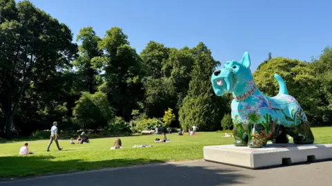 BBC Weather Watchers - Claire WN Colourful painted dog sculpture on a concrete plinth in a sunny park, with people relaxing on grass, trees behind, and a clear blue sky above.