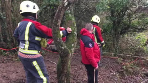 Firefighters try to rescue dogs