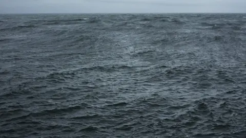 Tate Britain Wolfgang Tillmans' The State We're In shows a view out across a bleak and choppy sea