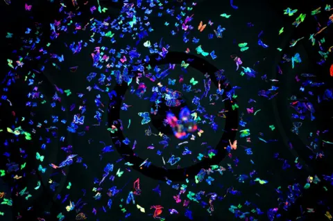 Ian Georgeson Butterfly Dream by Anne Bennet