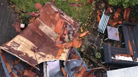 Anna McGee Roof damaged in the garden