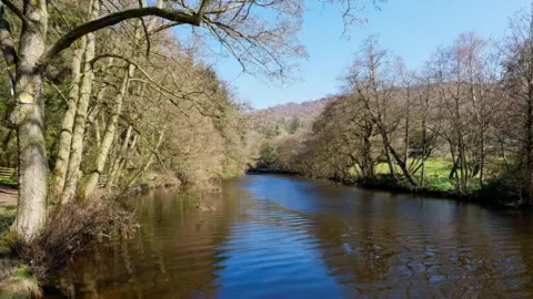 Getty Images The River Derwent flowing slowly near Froggat in the Peak District. It's a sunny day and trees can be seen on both sides of the river. On the right is also a field. 