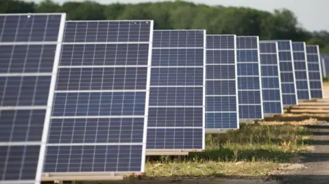 Solar panels lined up in a field, with grass on the foreground and forestry in the background.