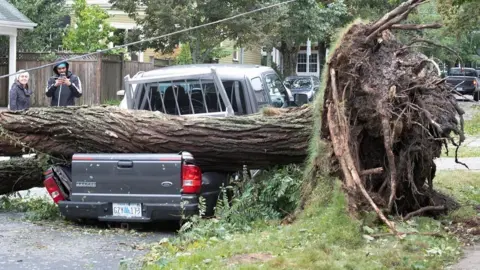 Reuters A fallen tree