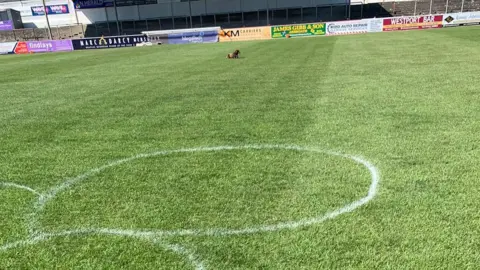 Arbroath FC Gayfield vandalism