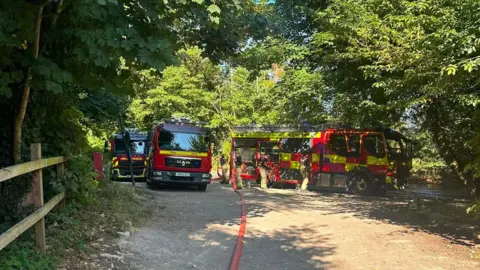 Three fire engines parked in a clearing area within some woodland. Long red large hosepipe trails along the ground.