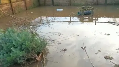 UK Wild Otter Trust Flooded enclosure at UK Wild Otter Trust site