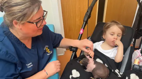 A blonde nurse in blue scrubs with a teddy bear logo on, sitting next to a young girl with brown hair in a pram. The girl has a black blanket with white paw prints over her lap, with a hairless brown and pink guinea pig on her lap.