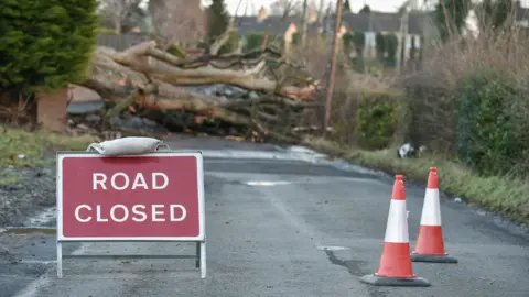 Pacemaker "Road closed" sign with two traffic cones next to it. In the background a large tree fallen across the road