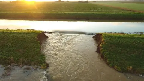 Beeswax Dyson Breach