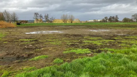 Mark Humphrey A field shows brown mud and green grass, as well as large puddles where flood water remains.