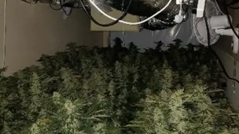 Dyfed-Powys Police Dyfed-Powys Police