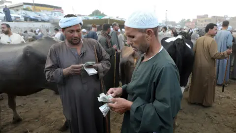 Khaled Elfiqi/EPA Men count money as people purchase animals ahead of Eid al-Adha at a market in Embama district, Giza, Egypt - Thursday 15 June 2023