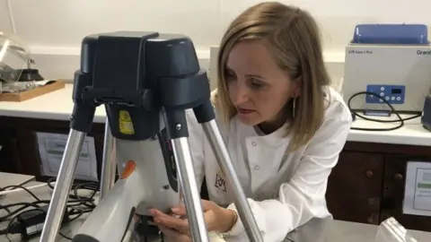 BBC Soil sample testing