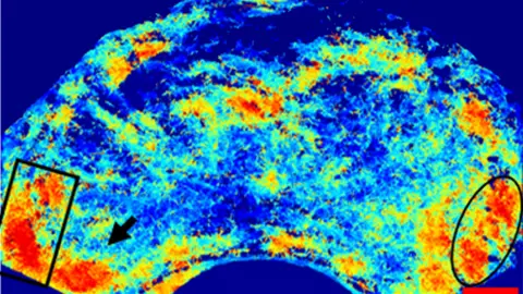 Heriot-Watt University scan