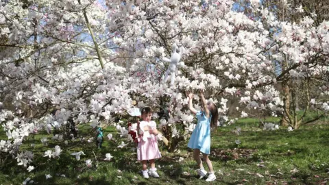 PA Media Sisters Mia (left) and Emma Szavejcsuk, aged two and four, play under a magnolia tree at the Royal Botanic Gardens, Kew, in London