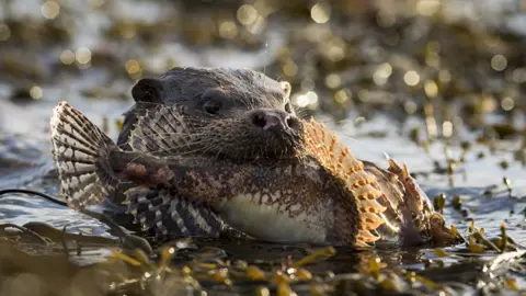 Lyndsey Howard Lyndsey Howard image