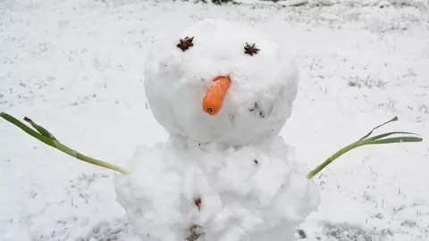 Golda Brownlee Snowman in Ickenham, West London