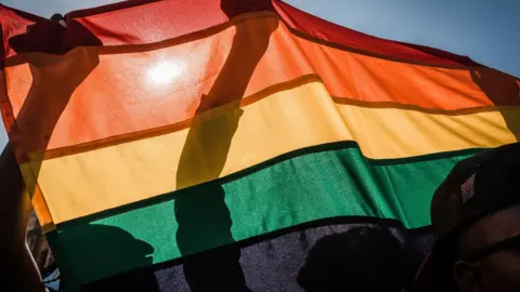 Getty Images Rainbow flag at Durban Pride Festival