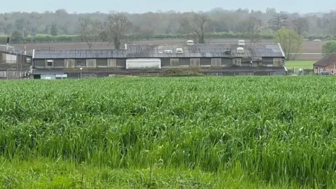 Jenny Kirk /BBC An abattoir in Banham Norfolk from a distance.