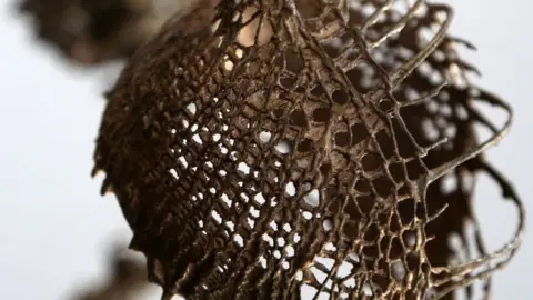 Exeter Cathedral Sculpture
