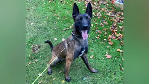 South Yorkshire police Police Dog Buzz