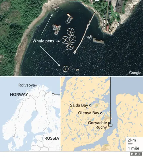 Maps showing parts of Norway and Russia, where whale pens can be seen on Google Earth