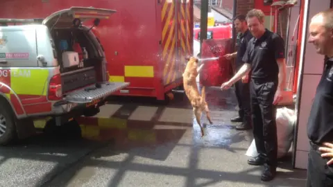 Stourbridge Fire Stourbridge firefighters