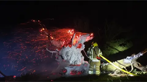 Ledbury Fire Station The tree on fire