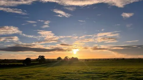 Two Oaks Landscapes MONDAY - Thame