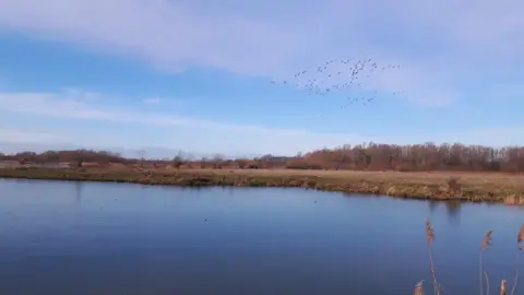 Alison Briers Willington Wetlands