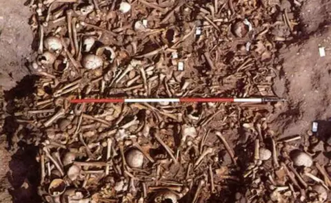 Martin Biddle Charnel pit