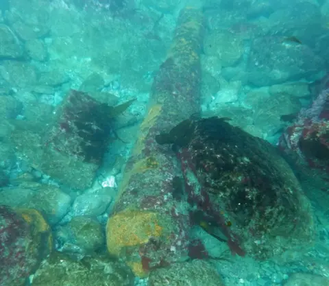 David Gibbins Cannon underwater